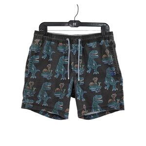 Party Pants Men's Cotton Poly Trex Neon Volley Shorts - M